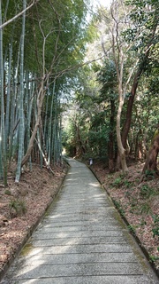 DSC_0112_2.JPG