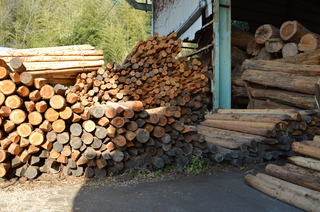 DSC_0164.JPG