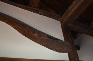 DSC_0172.JPG