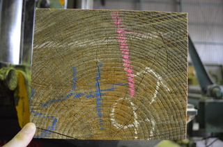 DSC_0195.JPG