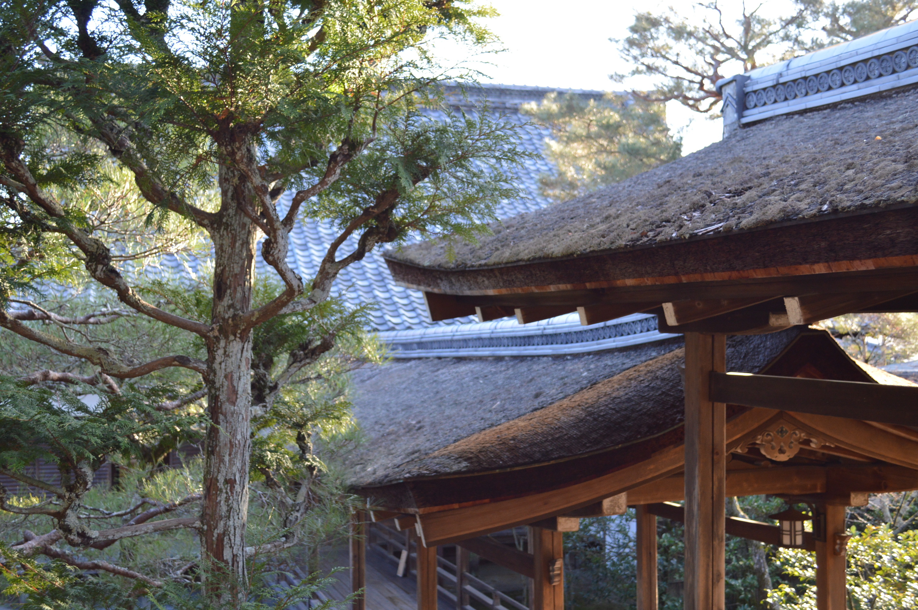 AKａ6219 世界遺産真言宗御室派総本山仁和寺第５０世門跡 立部祐