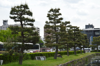 DSC_0789.JPG