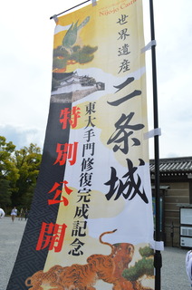 DSC_0818.JPG