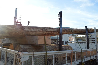 DSC_0922.JPG