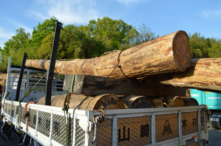 DSC_0923.JPG