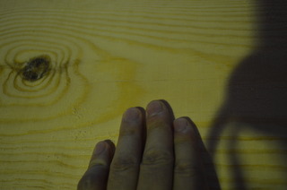 DSC_0980.JPG