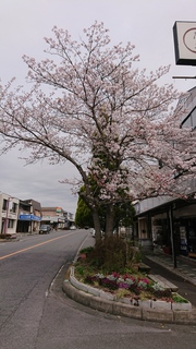 DSC_1267.JPG