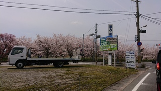 DSC_1268.JPG