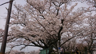 DSC_1270.JPG