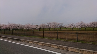 DSC_1271.JPG