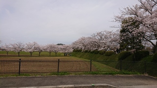 DSC_1272.JPG