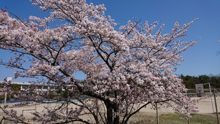 DSC_1281.JPG
